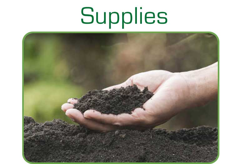 plants and supplies